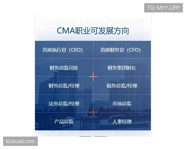 奥利塞职业发展路径与定位合理性探析 奥利塞职业发展路径与定位合理性探析